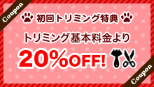 初回限定クーポン